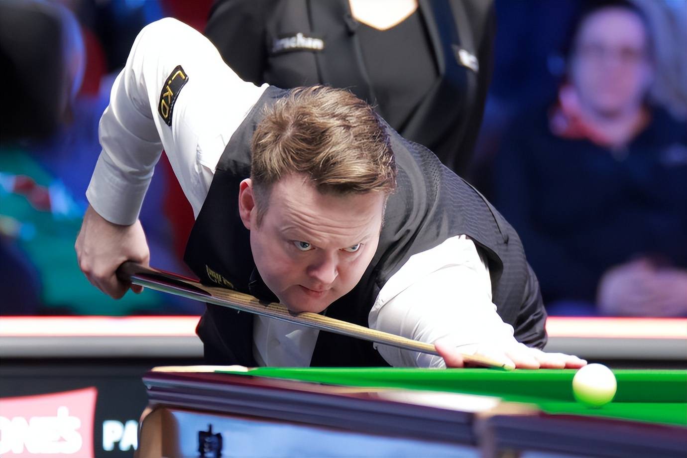 年轻才俊的 年轻才俊的