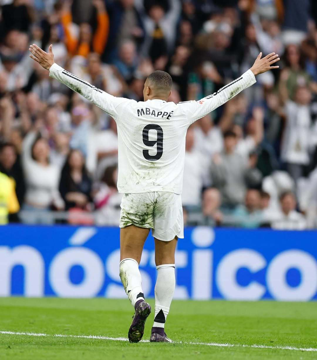 项赛事淡季 项赛事淡季