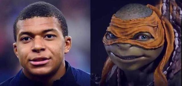 强弱分布失 强弱分布失